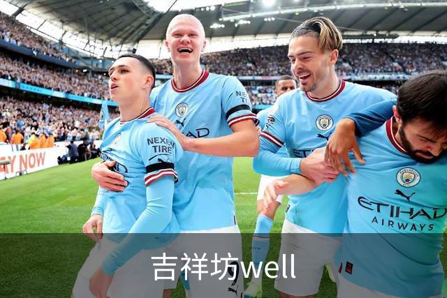 吉祥坊well公司介绍图片